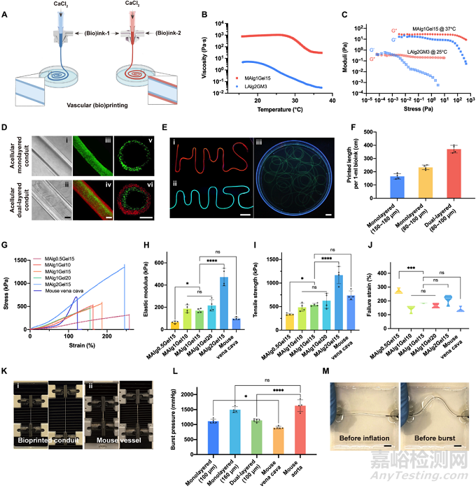 微流控同軸生物打印基于強韌水凝膠的功能化人工血管