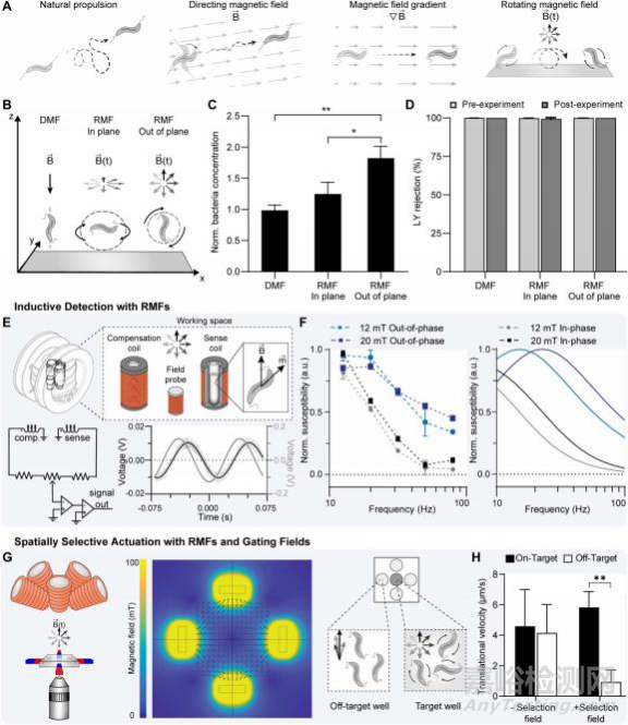 使用均勻旋轉(zhuǎn)磁場控制基于細菌的微型機器人對腫瘤進行治療