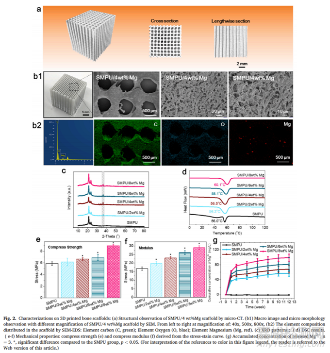 中科院：近紅外響應(yīng)性3D打印形狀記憶聚氨酯/鎂復(fù)合支架促進(jìn)骨再生