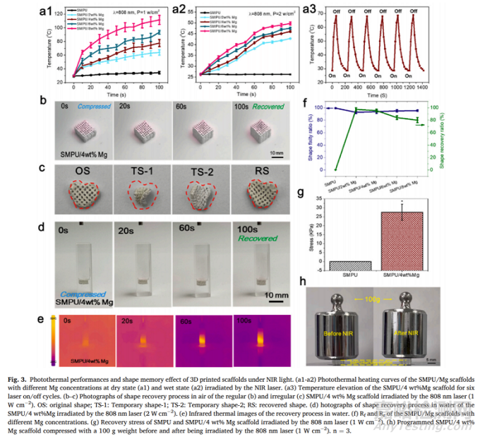 中科院：近紅外響應(yīng)性3D打印形狀記憶聚氨酯/鎂復(fù)合支架促進(jìn)骨再生