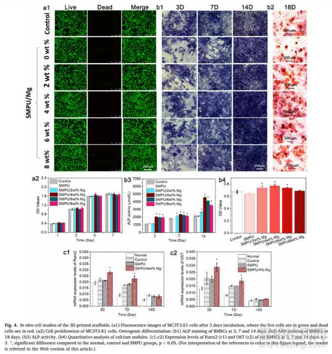中科院：近紅外響應(yīng)性3D打印形狀記憶聚氨酯/鎂復(fù)合支架促進(jìn)骨再生