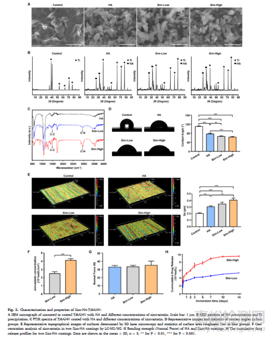 辛伐他汀涂層抗生物膜及內(nèi)植物感染并促進(jìn)骨整合