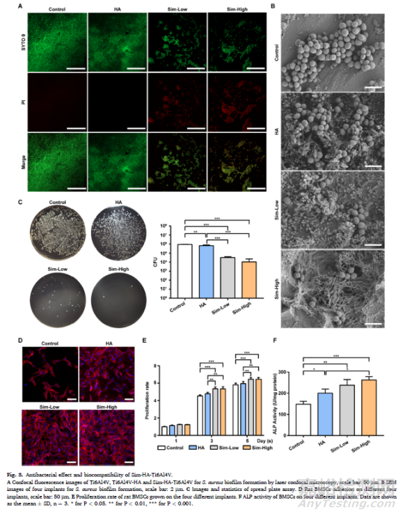 辛伐他汀涂層抗生物膜及內(nèi)植物感染并促進(jìn)骨整合