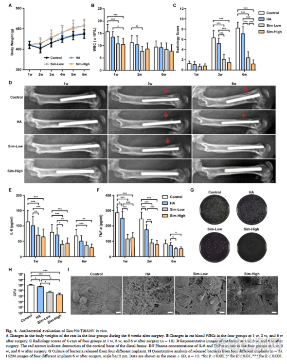 辛伐他汀涂層抗生物膜及內(nèi)植物感染并促進(jìn)骨整合