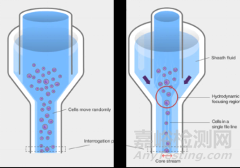 流式細(xì)胞儀檢測原理、組成結(jié)構(gòu)