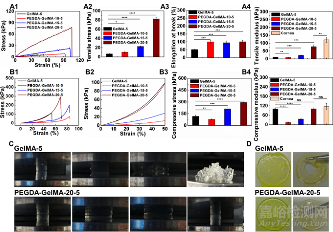天津大學(xué):3D打印仿生上皮/基質(zhì)雙層水凝膠支架用于角膜再生