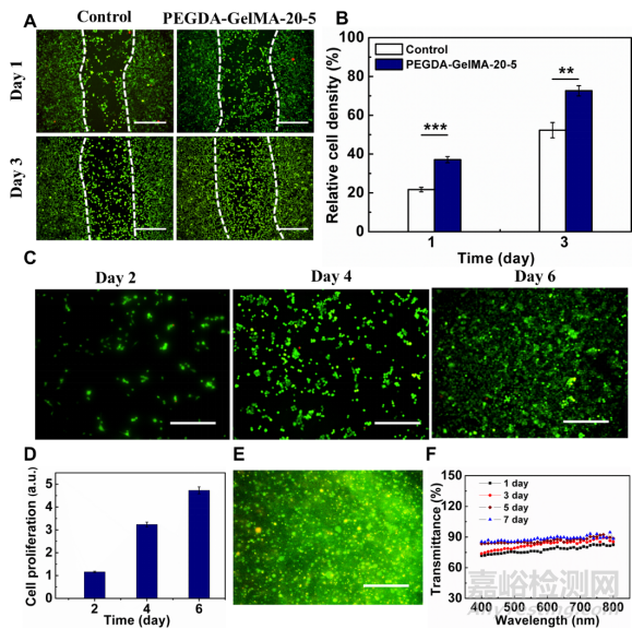 天津大學(xué):3D打印仿生上皮/基質(zhì)雙層水凝膠支架用于角膜再生