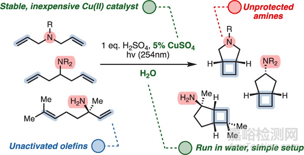 JACS:綠色高效的環(huán)丁烷骨架合成新方法
