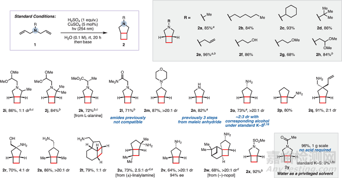 JACS:綠色高效的環(huán)丁烷骨架合成新方法