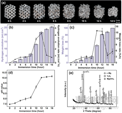激光增材制造WE43可降解鎂合金骨植入物工藝優(yōu)化及體內(nèi)外生物降解行為