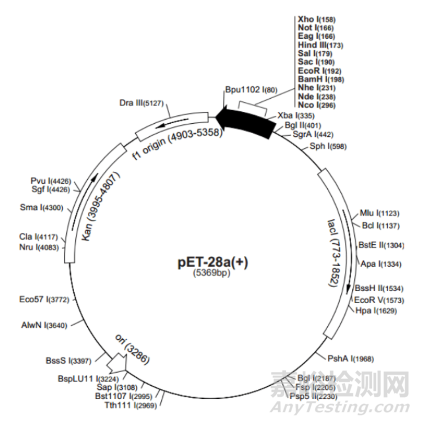 重組人源化膠原蛋白原材料評價指導(dǎo)原則征求意見（附全文）