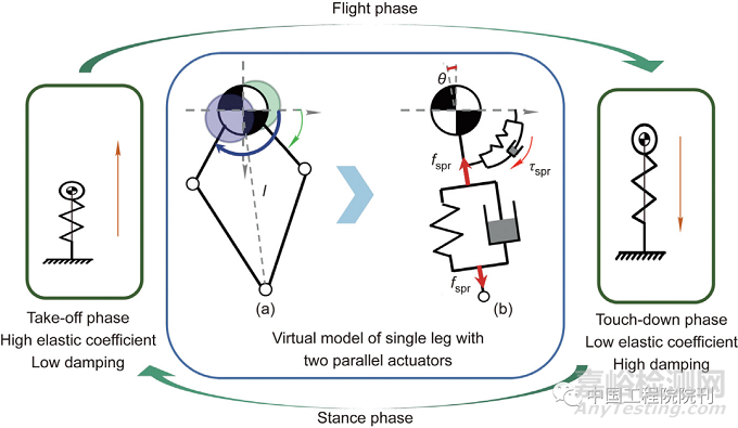 腿足機器人高爆發(fā)電機驅(qū)動關(guān)節(jié)與控制