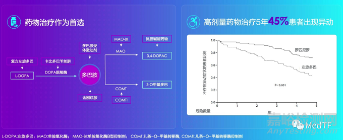 Vercise Genus:電刺激方向可控的腦起搏器
