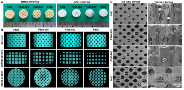 分級微孔結(jié)構(gòu)精細(xì)調(diào)控的抗感染型陶瓷義眼座設(shè)計及高效血管化整合研究