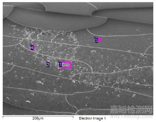 中框陽極麻點失效分析