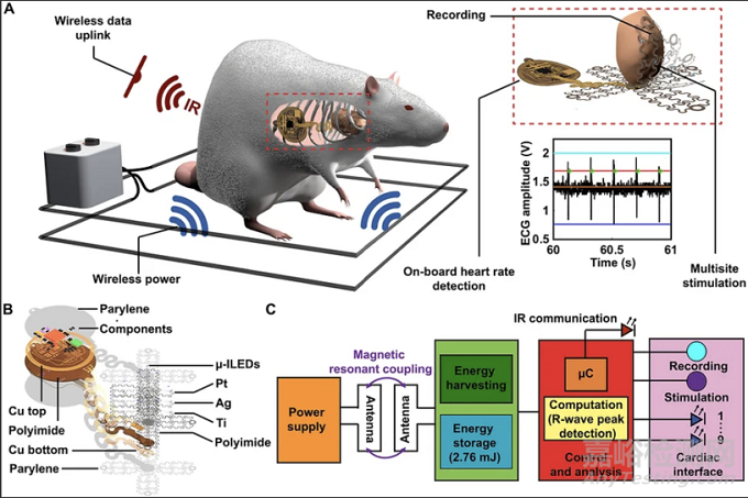 無源、無線基于光學(xué)技術(shù)的新型起搏器