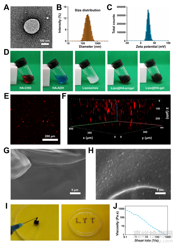 剪切響應(yīng)的邊界潤滑水凝膠治療骨關(guān)節(jié)炎