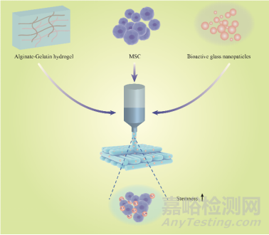 定制擠出式打印的生物墨水用于皮膚創(chuàng)面修