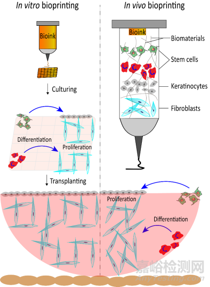 定制擠出式打印的生物墨水用于皮膚創(chuàng)面修