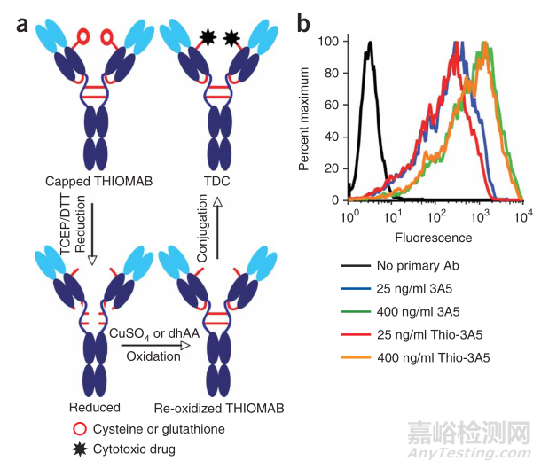 ADC的四大經(jīng)典定點(diǎn)偶聯(lián)技術(shù)