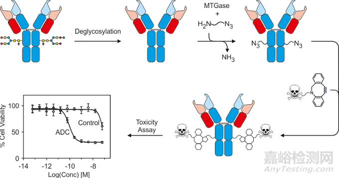 ADC的四大經(jīng)典定點(diǎn)偶聯(lián)技術(shù)