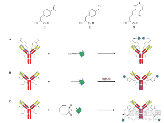 ADC的四大經(jīng)典定點(diǎn)偶聯(lián)技術(shù)
