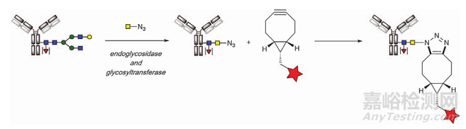 ADC的四大經(jīng)典定點(diǎn)偶聯(lián)技術(shù)
