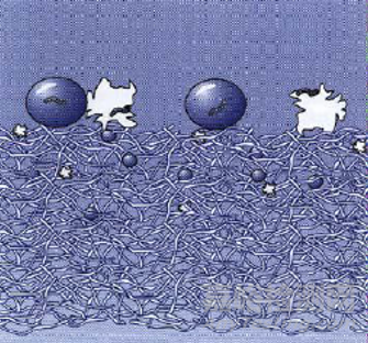 呼吸系統(tǒng)過(guò)濾器注冊(cè)審查指導(dǎo)原則