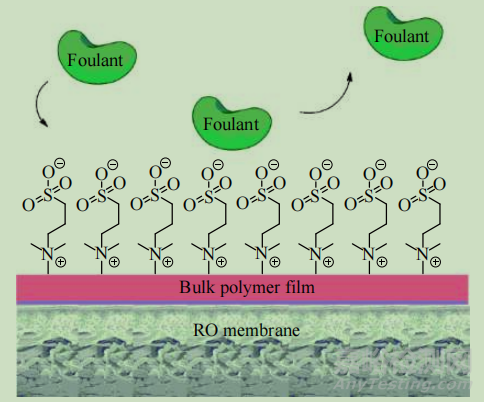 表面抗菌功能涂層的作用機理及在生物醫(yī)用材料中的應(yīng)用