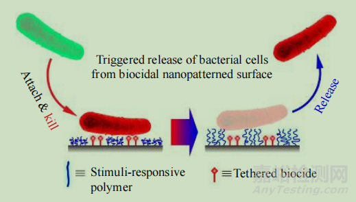 表面抗菌功能涂層的作用機理及在生物醫(yī)用材料中的應(yīng)用