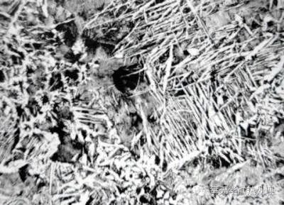 魏氏體與上貝氏體的判別