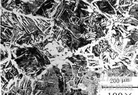 魏氏體與上貝氏體的判別