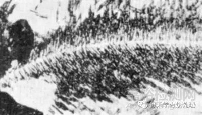 魏氏體與上貝氏體的判別