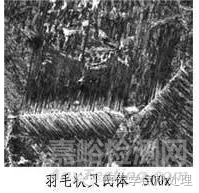 魏氏體與上貝氏體的判別