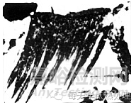 魏氏體與上貝氏體的判別