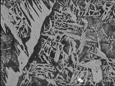 魏氏體與上貝氏體的判別