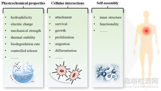 香港科技大學(廣州)吳鈞教授團隊:三維支架生物材料作為腫瘤免疫治療的有力武器