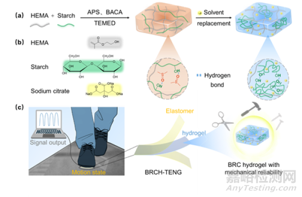 高強度抗撕裂導(dǎo)電水凝膠研究取得進展