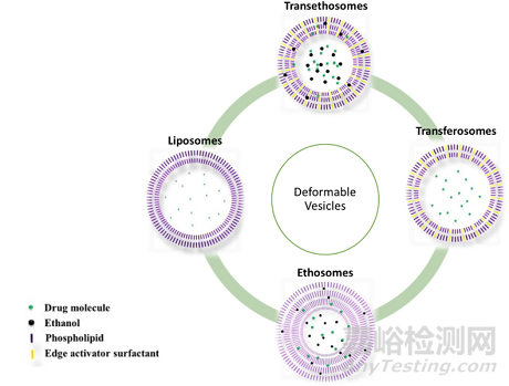 經(jīng)皮給藥增強(qiáng)皮膚透過性的技術(shù)手段