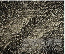 牙科用磷酸酸蝕劑注冊審查指導(dǎo)原則正式發(fā)布（附全文）