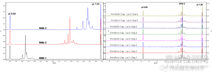 生物藥蛋白的異構(gòu)體分析