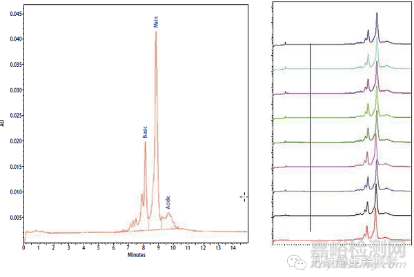 生物藥蛋白的異構(gòu)體分析