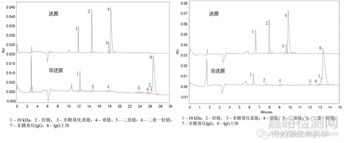 生物藥蛋白的異構(gòu)體分析