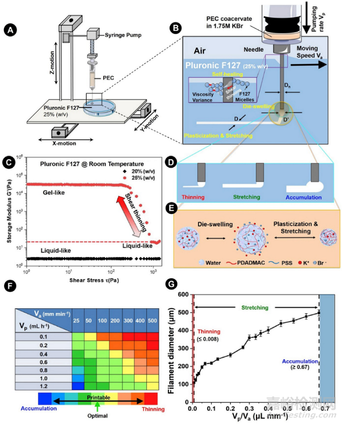 通過(guò)3D打印聚電解質(zhì)復(fù)合物制作用于組織再生的多孔道生物支架