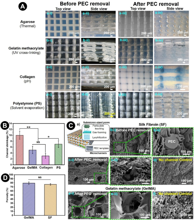 通過(guò)3D打印聚電解質(zhì)復(fù)合物制作用于組織再生的多孔道生物支架