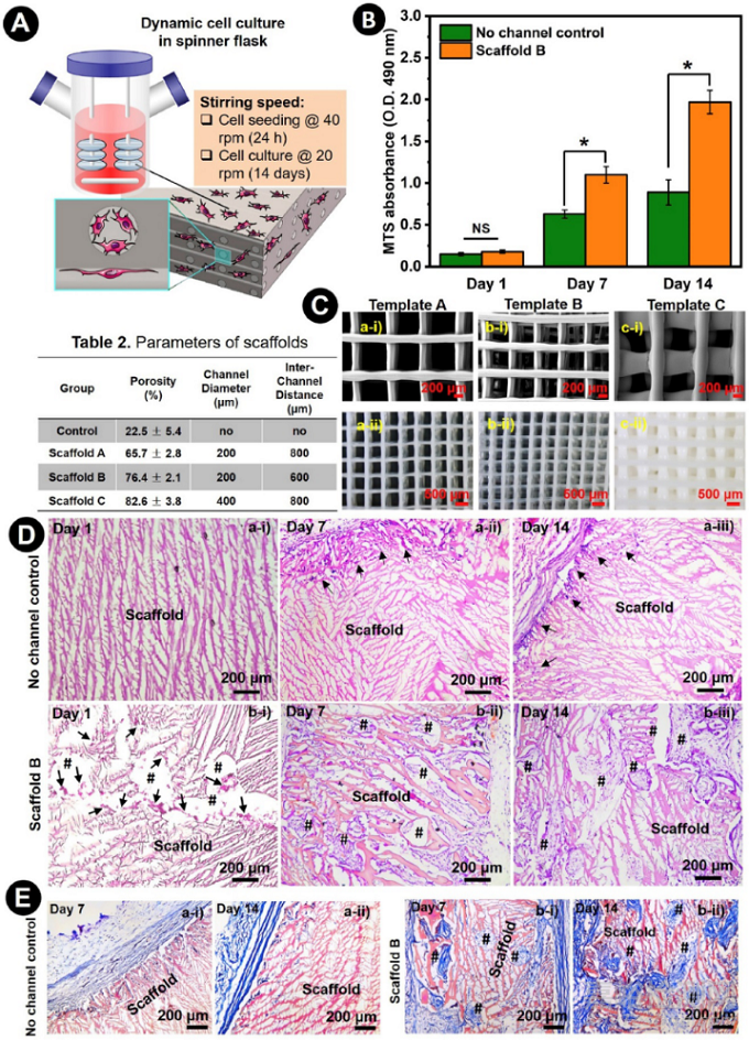 通過(guò)3D打印聚電解質(zhì)復(fù)合物制作用于組織再生的多孔道生物支架