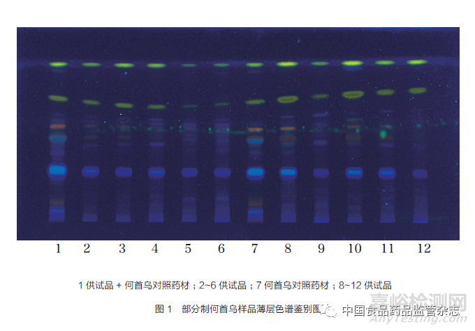 中藥飲片制何首烏質(zhì)量調(diào)查及監(jiān)管建議