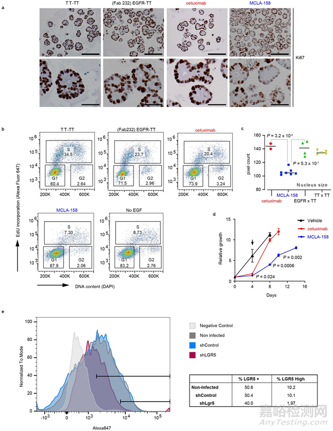 類(lèi)器官研究領(lǐng)域最新進(jìn)展