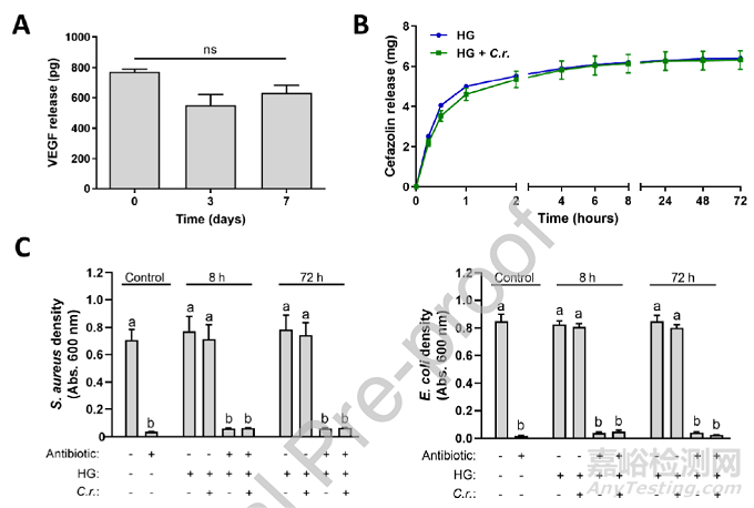 可輸送氧氣和生物活性分子的光合水凝膠敷料