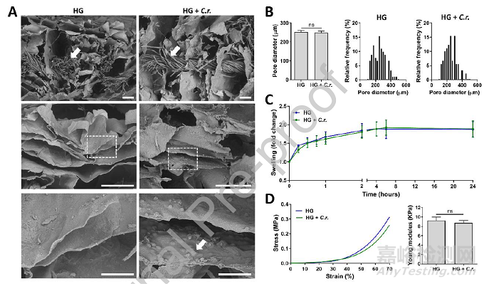 可輸送氧氣和生物活性分子的光合水凝膠敷料